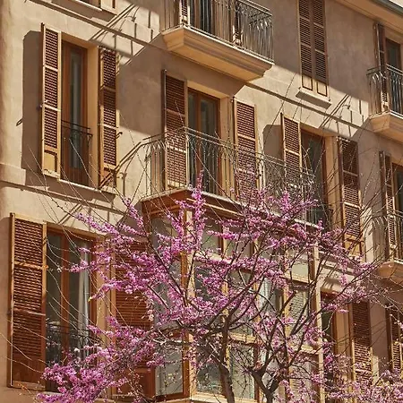 Damunt Hotel Palma